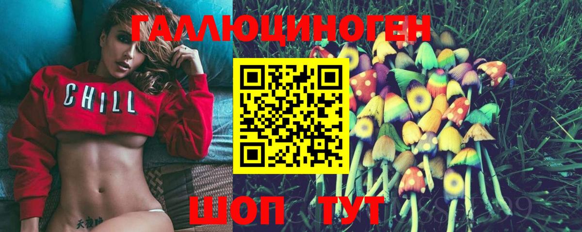 как найти закладки  Псилоцибиновые грибы Psilocybe  Вход с VPN  Богданович 